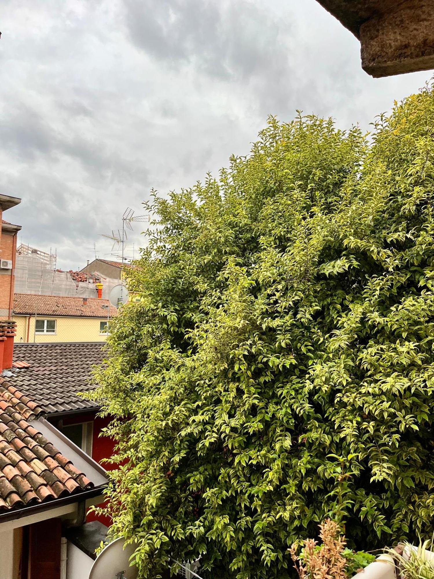 Apartment San Bernardino Monolocale Con Balcone *